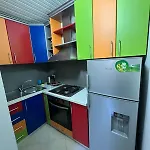 Friendly Dogs House